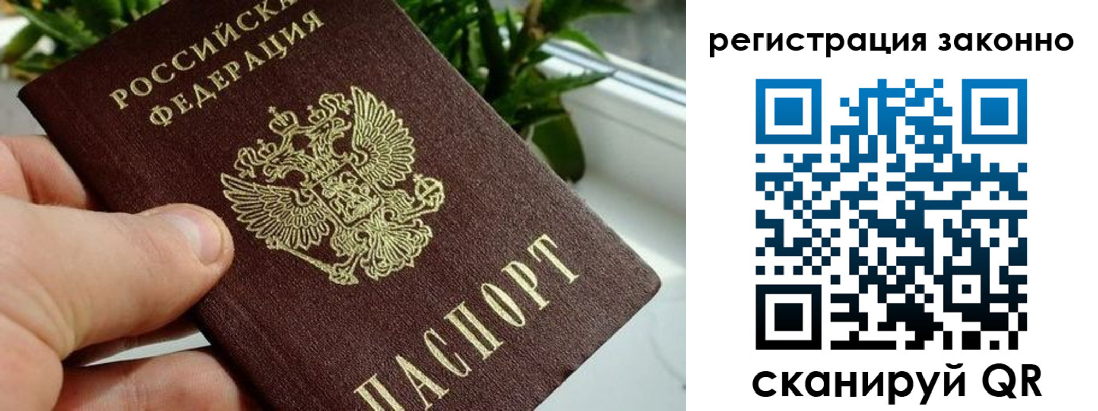 прописка гарантия в Стрежевом